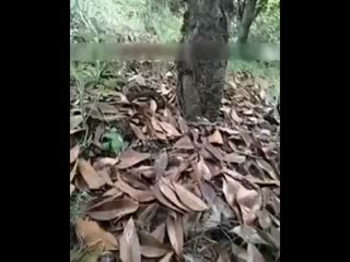 高h的一女n男的np文岳扒开下面让我添 - DVD高清免费观看-国产福利萌白酱精品tv一区 - 1080P电影免费在线 - 成年视频网华人原创av免费在线观看